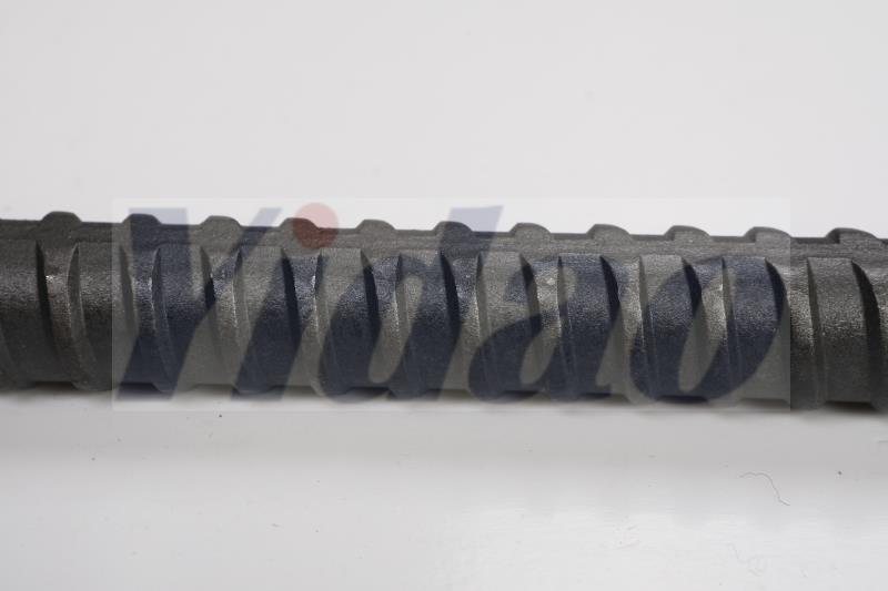 1709350533566987.jpg 2W7A4497曉軍珍島.jpg